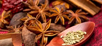 بادیان چیست؟ روش نگهداری و کاربرد بادیان