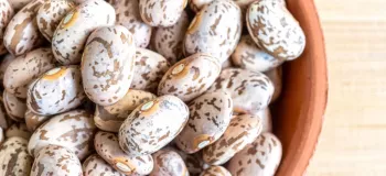 فوت و فن نگهداری از لوبیا چیتی و مدت زمان استفاده از آن