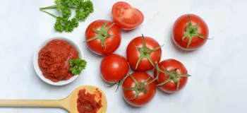 آموزش تهیه رب گوجه فرنگی در آفتاب و در فصل تابستان
