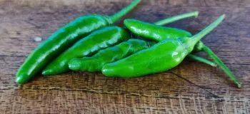 برای فصل سرما به فکر نگهداری از فلفل سبز باش!