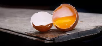 آیا لکه های خون در تخم مرغ نجس است؟