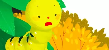 داستان تصویری کودکانه کوتاه کرم ابریشم دنبال کفش میگرده!