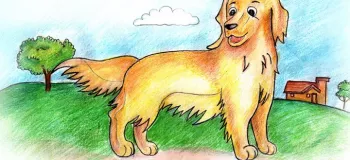 قصه تصویری کودکانه پالی، سگ راهنما