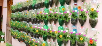 دیوارهای خانه خود را با گیاهان یا گل های مورد علاقه خود سبز کنید !