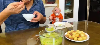 وقتی با میمون آشپزی میکنی و هم غذا میشی نتیجه اش همین قدر برگریزونه!