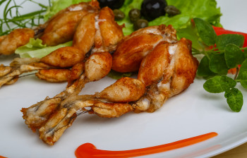 آیا تابحال گوشت قورباغه خورده اید ؟