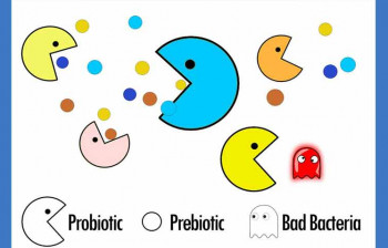 تفاوت اصلی بین پروبیوتیک و پری بیوتیک در چیست ؟