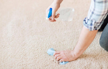 نحوه رفع بوی بد شیر ریخته شده بر روی فرش