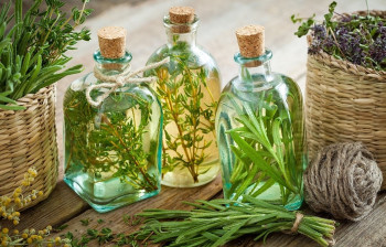 آشنایی با خواص عرق مرزه + میزان و طریقه مصرف عرق مرزه