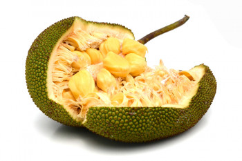 میوه جک فروت (Jackfruit) و خواص آن + عکس