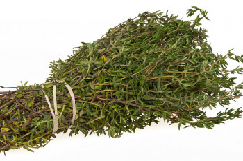 خاصیت آویشن ( thyme plant) برای سلامتی