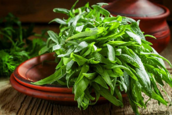 طرز تهیه سالاد ترخون , سالاد خوش طعم