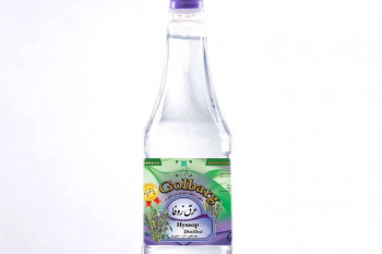 گیاه دارویی زوفا و خواص و فواید آن + عوارض و روش مصرف