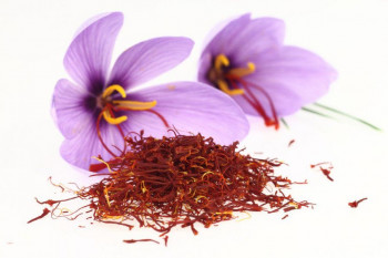 مضرات عجیب زعفران که نمی دانستید 