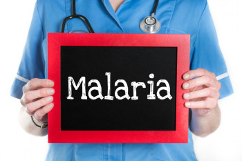 درمان طبیعی بیماری مالاریا با مواد غذایی 