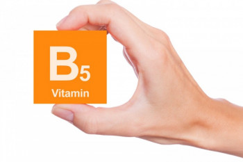 ۱۱ خاصیت شگفت انگیز ویتامین B۵ برای سلامتی