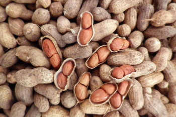 خواص شگفت انگیز بادام زمینی برای یک زندگی سالم