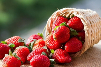 ۱۹ خاصیت دارویی و درمانی توت فرنگی