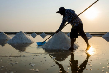 نمک دریا: ۱۷ خاصیت باورنکردنی نمک دریایی برای سلامتی