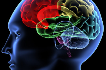 9 واقعیت جالب در رابطه با عملکرد مغز