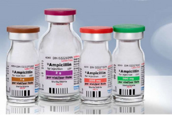 آشنایی با موارد مصرف و عوارض آمپی سیلین
