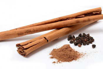 اصول کاشت درخت دارچین