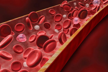 علل و خطرات بالا و پایین بودن mpv در آزمایش خون