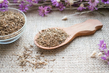 ریشه سنبل الطیب : خواص اعجاب انگیز ریشه سنبل الطیب یا والرین