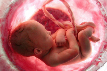 ۱۰ علت اصلی کوچک بودن و کاهش رشد جنین چیست ؟