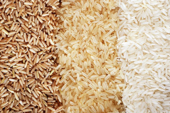 ۱۱ روش تشخیص برنج تقلبی حاوی پلاستیک از برنج اصل