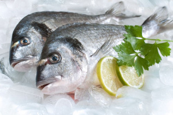 روشهای تشخیص ماهی تازه و سالم از ماهی فاسد