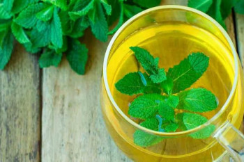 خواص نعناع در بارداری : آیا مصرف نعنا در حاملگی برای جنین مضر است