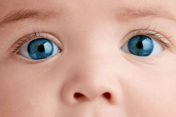 آیا مصرف گل گاوزبان باعث رنگی شدن چشم جنین می شود ؟