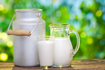 نکات مهم و اساسی درباره شیر کم چرب و پرچرب
