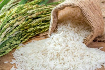 افزایش سم آرسنیک در خون با مصرف زیاد برنج