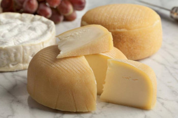طرز تهیه انواع پنیر خانگی