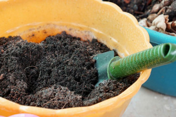 روش های تقویت خاک گلدان با ایده های طبیعی و ارزان در منزل