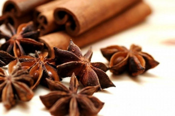 انیسون و خواص عالی درمانی آن ( تمام فواید بادیان رومی)