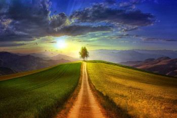 شعر چه روزها که برای تو منتظر ماندم از حکیم جوزجانی