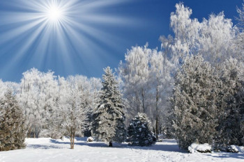 شعر درباره ی فصل زمستان | ۳۰ شعر برتر و عاشقانه در مورد زمستان