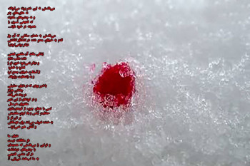 اشعار برای شهدا | برترین شعرهای احساسی و زیبا درباره شهیدان