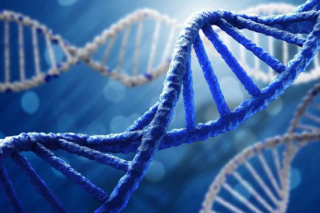 DNA چیست ؟ همه چیز درباره دی ان ای