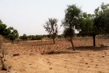 روز جهانی مبارزه با بیابان زایی و خشکسالی چه روزی است ؟