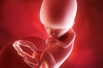 آنچه باید از وضعیت مادر و جنین در هفته سیزدهم بارداری بدانیم!