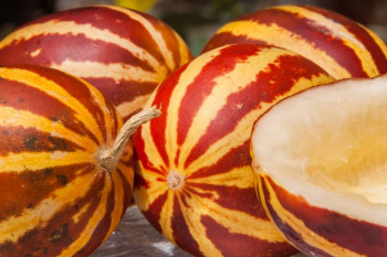 میوه دستنبو : ۱۶ خاصیت دارویی و درمانی شاماما برای بدن