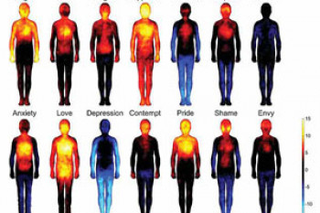 تاثیر احساسات مختلف بر سیستم عصبی بدن