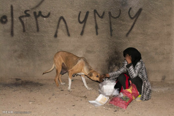 تصاویر زندگی کارتن خواب ها در منطقه ملک آباد استان البرز