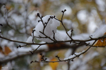 تصاویر بارش برف پاییزی در گرگان