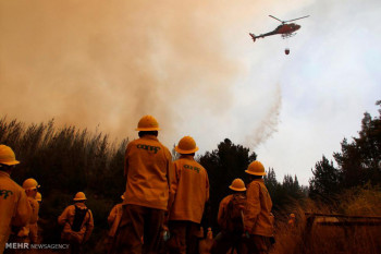 تصاویر جنگل سوزی گسترده در شیلی