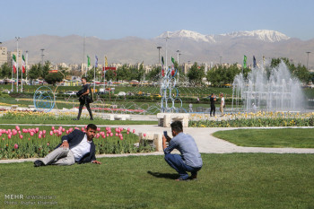 تصاویر رنگین کمان لاله ها در تهران